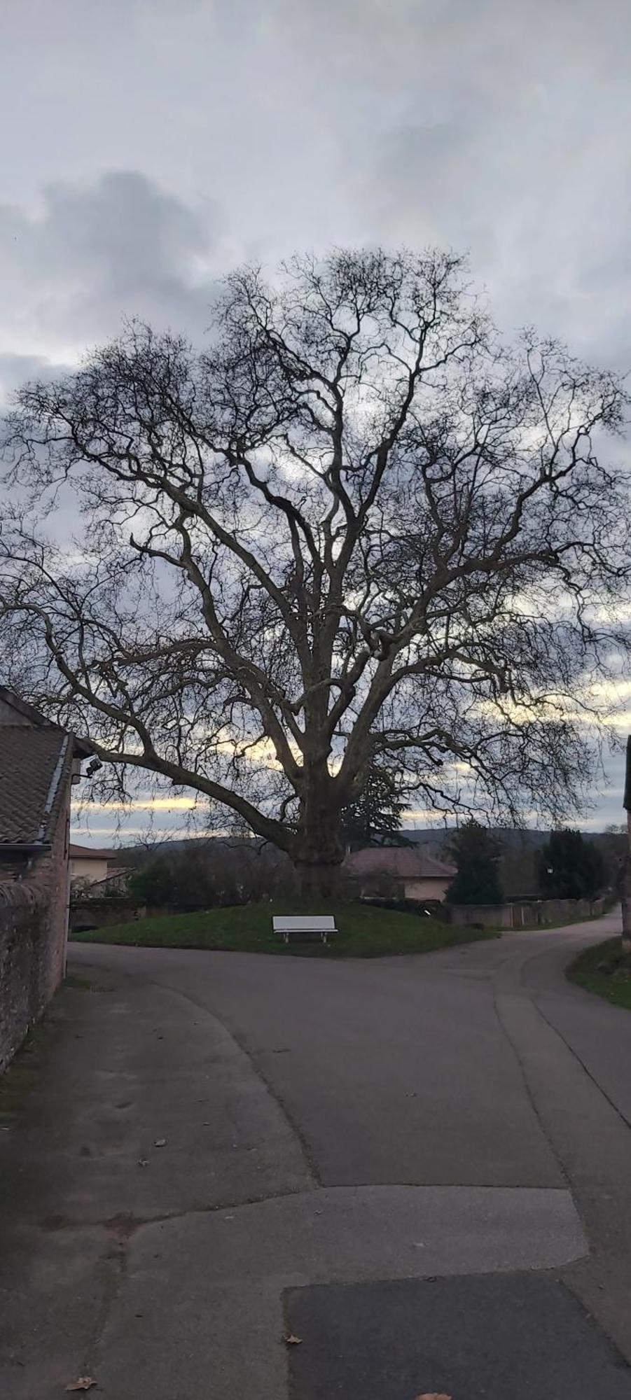 Le Gite Et Puits C'Est Tout Préty Zimmer foto